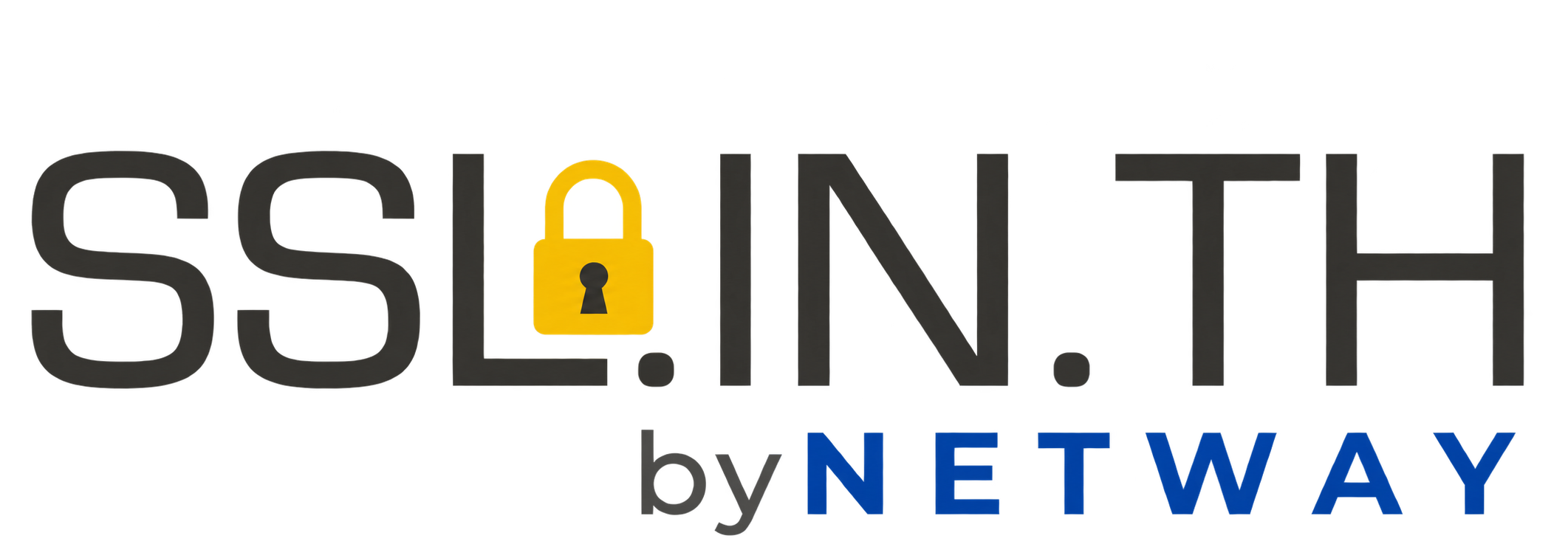 SSL.IN.TH by NETWAY